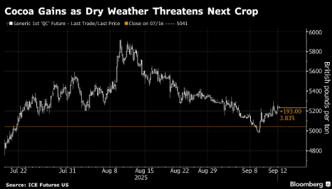 山西炒股配资开户 可可期货本周势将上涨 西非干旱威胁下季产量